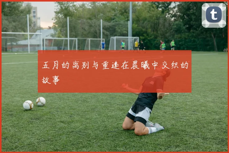 五月的离别与重逢在晨曦中交织的故事