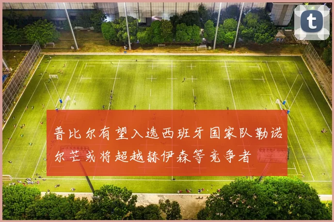 普比尔有望入选西班牙国家队勒诺尔芒或将超越赫伊森等竞争者